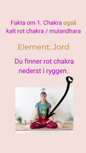 Last inn bildet i Galleri-visningsprogrammet, Aveda 1. Chakra Spray / Jording